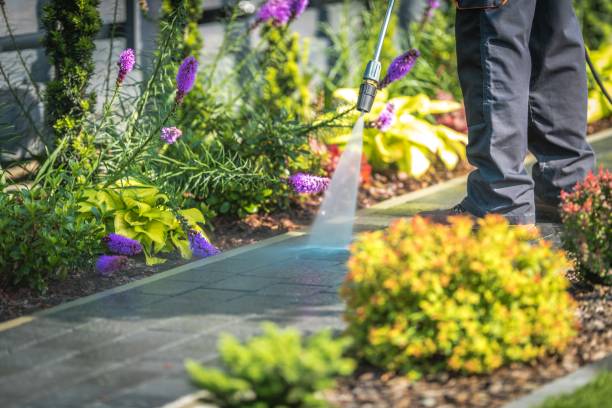 Best House Exterior Washing  in Wanamassa, NJ